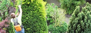 Tuinonderhoud
